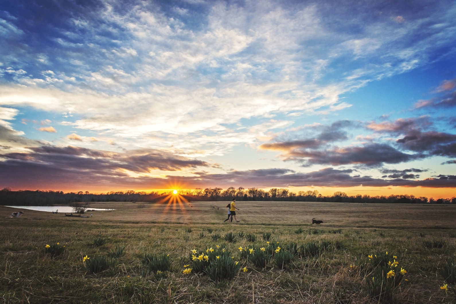 Shelby Farms Park Memphis Parks